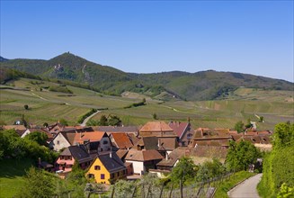 Wine-growing region in the Alsace Wine Route