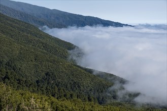 Cloud wall at mountain region