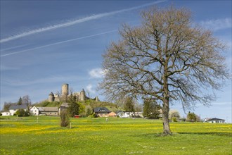 Nuerburg Castle