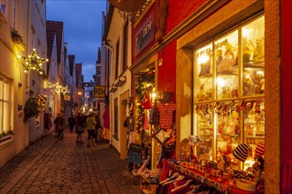 Houses and shops with Christmas lights at dusk