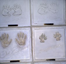 Jack Russell footprints next to celebrity handprints