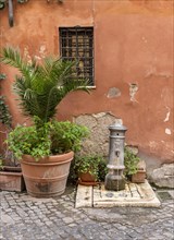 Flowerpot and street water pump
