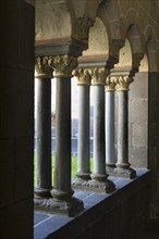 Columns in the cloister
