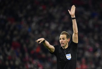 Referee Referee Sascha Stegemann