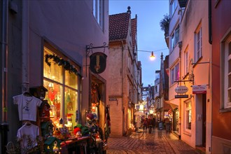 Houses and shops with Christmas lights at dusk