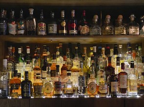 Various whiskey bottles and gin bottles in a bar