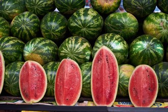Watermelons (Citrullus lanatus)