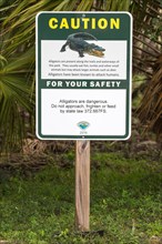 Warning sign Alligators