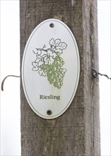 Sign to the wine variety Riesling