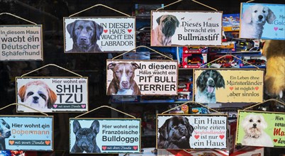 Shop window with dog signs