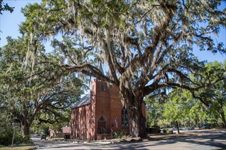 Church of St. James under tree with Spanish moss