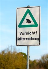 Sign Caution! Toad migration in front of blue sky