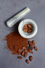 Cocoa beans in grated shell and cocoa powder with cocoa beans
