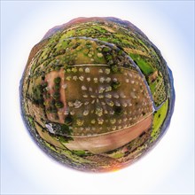 Spherical panorama