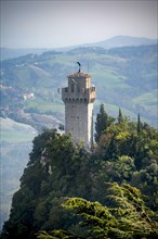 Torre Montale