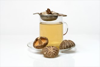 Shiitake tea in tea glass with tea strainer and shiitake mushrooms