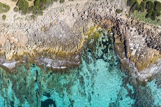 Rocky coast from above