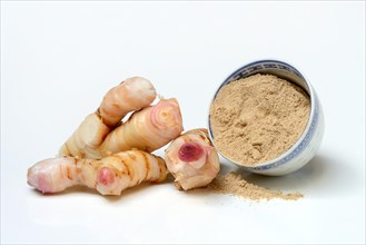 Galangal roots and galangal powder in bowl
