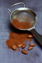 Cocoa powder in sieve and cocoa beans