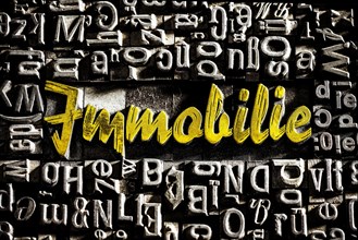 Old lead letters with gold lettering show the word Immobilie