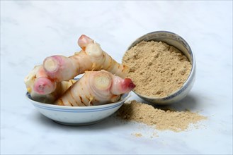 Galangal root and galangal powder in bowl