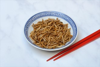 Dried mealworms in bowl and chopsticks