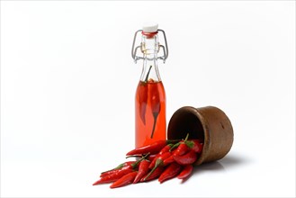 Chili oil in bottle and red chillies in ceramic vessel