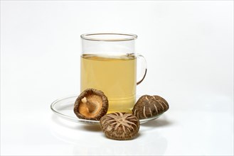 Shiitake tea in tea glass and shiitake mushrooms