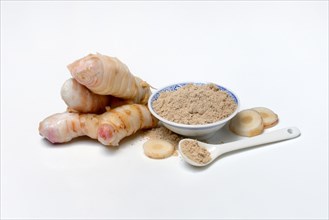 Galangal root and galangal powder in bowl