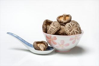 Dried shiitake mushrooms in bowl and Asian spoon