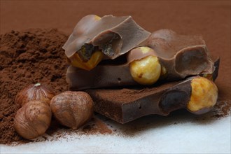 Chocolate with whole hazelnuts