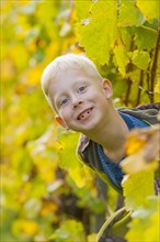 Boy looks through a row of vines