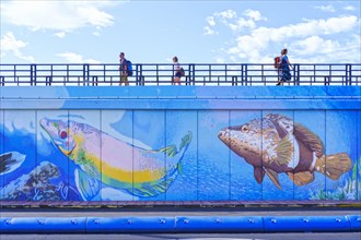Harbour wall with larger-than-life paintings of sea animals
