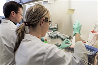 Laboratory technicians researching vaccine against coronavirus