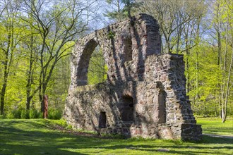 Ruin of the monastery Nimbschen