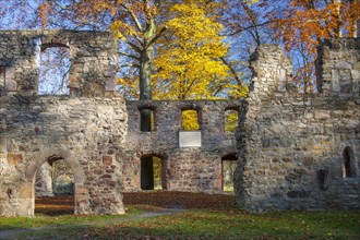 Nimbschen Monastery Ruins