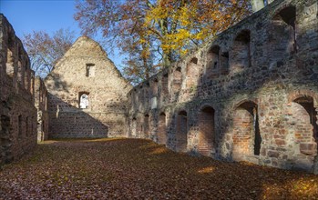 Nimbschen Monastery Ruins
