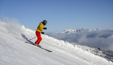 Skier