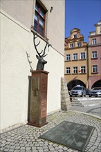 Deer statue at the town hall