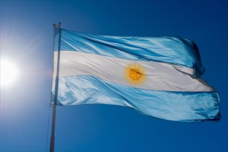 Argentine National Flag