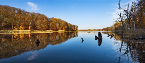 Schweingartensee in autumn