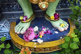 Lotus flowers are laid at the feet of the god Krishna