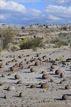 Round rocks on the Cancha de Bochas