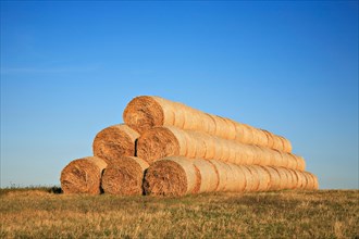 Stacked round straw bales at the edge of the field