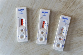 Results of quick malaria test from blood