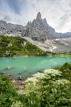 Turquoise-green Sorapis lake with flowers