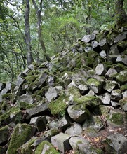 Basalt block dump at Gangolfsberg