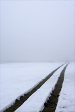 Vehicle tracks through snowy meadow