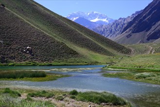 Laguna de Horcones