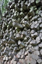 Basalt pillar wall at Gangolfsberg